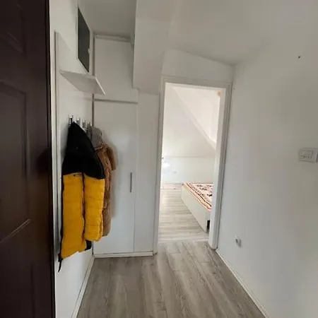 Gloria 4 New